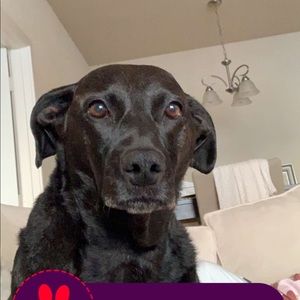 Meet your Posher, Chantal